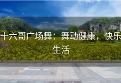 十六哥广场舞：舞动健康，快乐生活