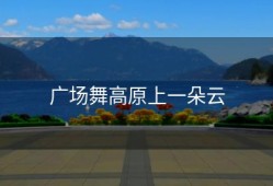 广场舞高原上一朵云