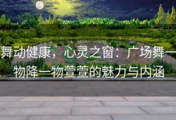 舞动健康，心灵之窗：广场舞一物降一物萱萱的魅力与内涵