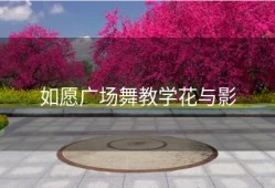 如愿广场舞教学花与影