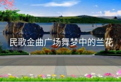 民歌金曲广场舞梦中的兰花