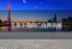 冬季下雪的广场舞视频