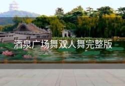 酒泉广场舞双人舞完整版