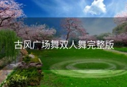 古风广场舞双人舞完整版