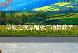 草原之夜原唱版广场舞教学