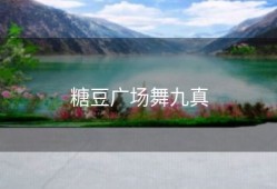 糖豆广场舞九真