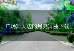 广场舞天边的月亮舞曲下载