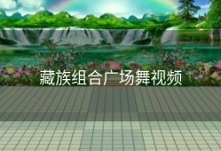 藏族组合广场舞视频