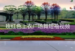 玫红色上衣广场舞短袖视频