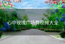 心中玫瑰广场舞视频大全