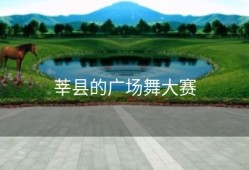 莘县的广场舞大赛