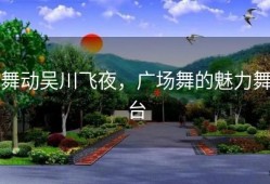 舞动吴川飞夜，广场舞的魅力舞台