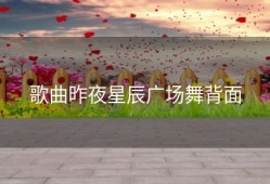 歌曲昨夜星辰广场舞背面