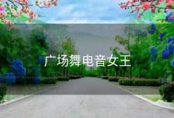 广场舞电音女王