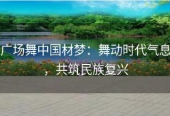 广场舞中国材梦：舞动时代气息，共筑民族复兴