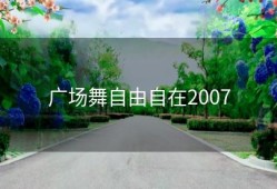 广场舞自由自在2007