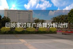 回娘家过年广场舞分解动作