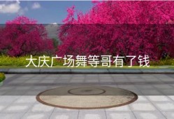 大庆广场舞等哥有了钱