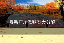 最新广场舞鸭梨大分解