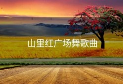 山里红广场舞歌曲
