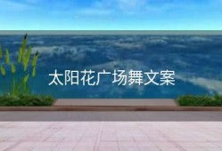 太阳花广场舞文案