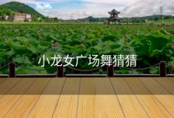 小龙女广场舞猜猜