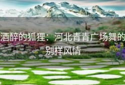 酒醉的狐狸：河北青青广场舞的别样风情