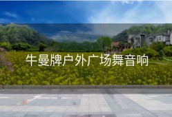牛曼牌户外广场舞音响