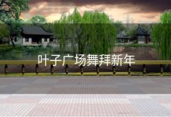 叶子广场舞拜新年