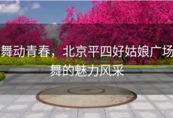 舞动青春，北京平四好姑娘广场舞的魅力风采