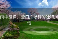 雨中旋律：营口广场舞的独特风情