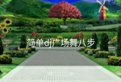 简单dj广场舞八步