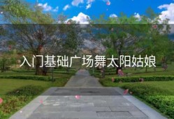 入门基础广场舞太阳姑娘