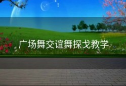 广场舞交谊舞探戈教学