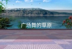 广场舞的草原