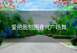 爱把我包围青儿广场舞