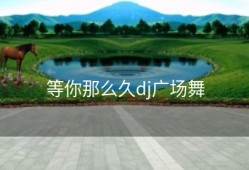 等你那么久dj广场舞