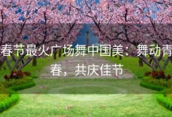 春节最火广场舞中国美：舞动青春，共庆佳节