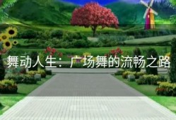 舞动人生：广场舞的流畅之路