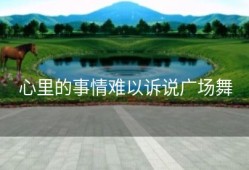 心里的事情难以诉说广场舞