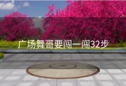 广场舞哥要闯一闯32步