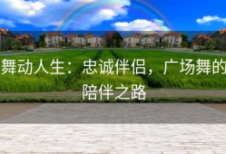 舞动人生：忠诚伴侣，广场舞的陪伴之路