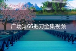 广场舞66把刀全集视频