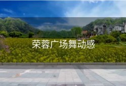 荣蓉广场舞动感