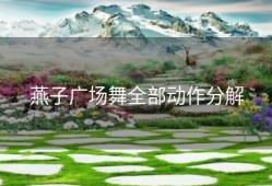 燕子广场舞全部动作分解