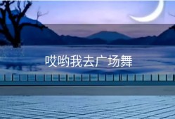 哎哟我去广场舞