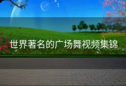 世界著名的广场舞视频集锦