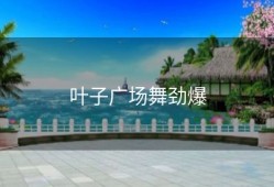 叶子广场舞劲爆