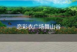 恋彩衣广场舞山谷