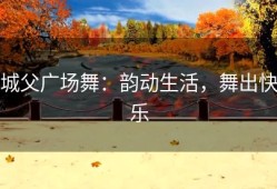 城父广场舞：韵动生活，舞出快乐